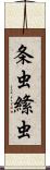 条虫 Scroll