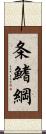 条鰭綱 Scroll