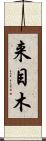 来目木 Scroll