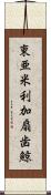 東亜米利加扇歯鯨 Scroll