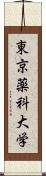 東京薬科大学 Scroll