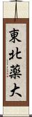 東北薬大 Scroll