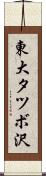 東大タツボ沢 Scroll