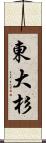 東大杉 Scroll