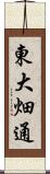 東大畑通 Scroll