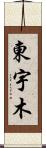 東宇木 Scroll
