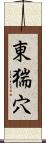 東猯穴 Scroll