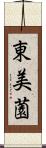 東美薗 Scroll