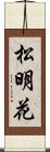 松明花 Scroll