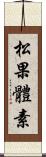 松果體素 Scroll
