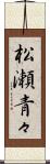 松瀬青々 Scroll