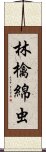 林檎綿虫 Scroll