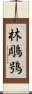 林鵰鴞 Scroll