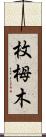 枚栂木 Scroll