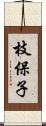 枝保子 Scroll