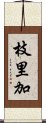 枝里加 Scroll