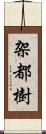 架都樹 Scroll