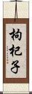 枸杞子 Scroll