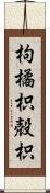 枸橘;枳殻;枳 Scroll