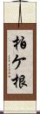 柏ケ根 Scroll