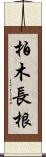 柏木長根 Scroll