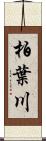 柏葉川 Scroll