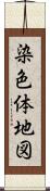 染色体地図 Scroll