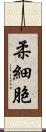 柔細胞 Scroll