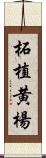 柘植 Scroll