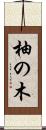 柚の木 Scroll
