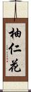 柚仁花 Scroll