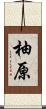 柚原 Scroll