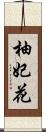 柚妃花 Scroll
