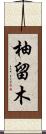 柚留木 Scroll