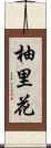柚里花 Scroll