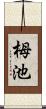 栂池 Scroll