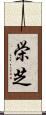 栄芝 Scroll