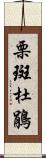 栗斑杜鵑 Scroll