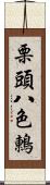 栗頭八色鶇 Scroll