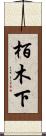 栢木下 Scroll