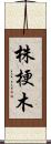 株梗木 Scroll