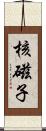 核磁子 Scroll