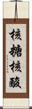 核糖核酸 Scroll