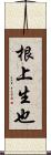 根上生也 Scroll