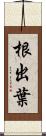 根出葉 Scroll