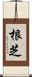 根芝 Scroll