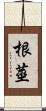 根莖 Scroll