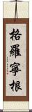 格羅寧根 Scroll