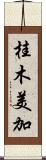 桂木美加 Scroll
