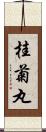 桂菊丸 Scroll